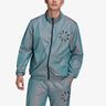 adidas Adicolor Shattered Trefoil