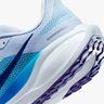 Nike Pegasus 41