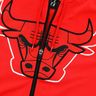 NBA Casaca Bulls
