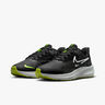 Nike Pegasus 39 Shield