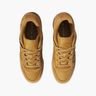 Adidas Zapatillas Forum Low Cl