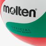 Molten Pelota de Voley FPV