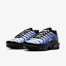 Nike Zapatos Air Max Plus