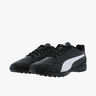 Puma Monarch II TT