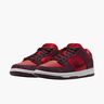 Nike SB Dunk Low Pro