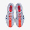 Nike Pegasus Plus
