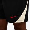 Nike Liverpool FC Strike Special Edition