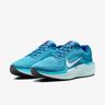 Nike Winflo 11