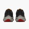 Nike Winflo 8