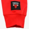 NBA Casaca Bulls