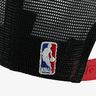 NBA Bulls