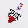 NBA Chicago Bulls
