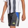 adidas Messi