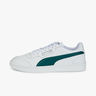 Puma Court Guard