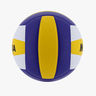 Mikasa Pelota de voley MV210