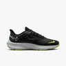 Nike Pegasus 39 Shield