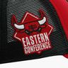 NBA Bulls