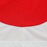 adidas Primera Equipación Ajax 24/25