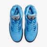 Air Jordan 5 Retro SE