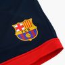F.C. Barcelona Conjunto Barca
