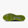 Nike Pegasus 39 Shield