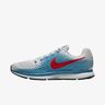 Nike Air Zoom Pegasus 34