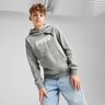 Puma Buzo Essentials 2