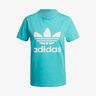 adidas Adicolor Classics Trefoil