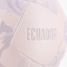 Pelota FEF