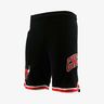 NBA Short