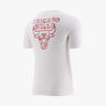 NBA Chicago Bulls