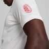 Puma AC Milan Ftblicons