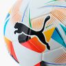Puma Pelota Cumbre Copa Libertadores 2024