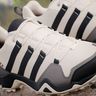 adidas Terrex AX2S