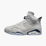 Nike Air Jordan 6