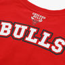 NBA Polera Bulls