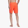 adidas clásico Solid Swim