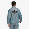 adidas Adicolor Shattered Trefoil