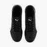 Puma Monarch II TT