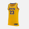 Nike NBA Connected LeBron James