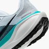 Nike Pegasus 41