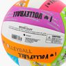 Molten Pelota de voley MS500