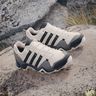adidas Terrex AX2S