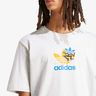 Adidas Supply