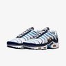 Nike Air Max Plus