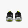 Nike Pegasus 39 Shield