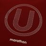 Camiseta Centenario Hincha Universitario 2024