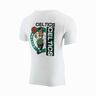 NBA Boston Celtics