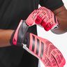 adidas Guantes Pred Gl Trn