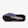 Nike Pegasus Trail 5 GORE-TEX